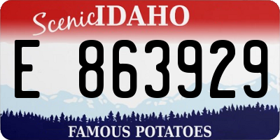 ID license plate E863929
