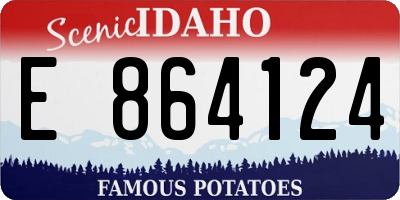 ID license plate E864124