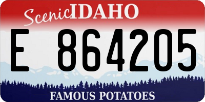 ID license plate E864205