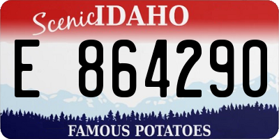 ID license plate E864290