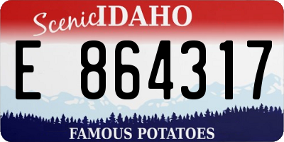 ID license plate E864317