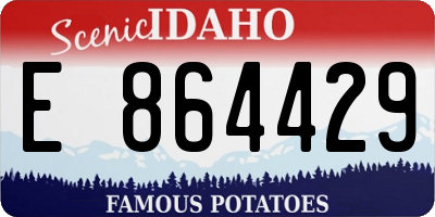 ID license plate E864429