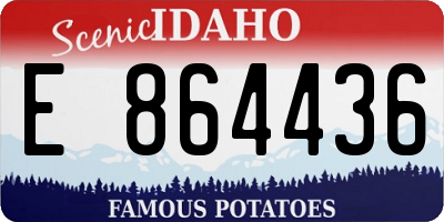 ID license plate E864436