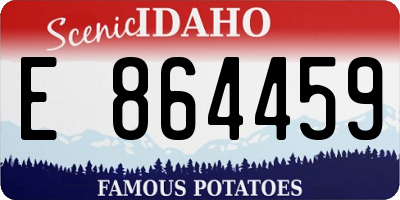 ID license plate E864459