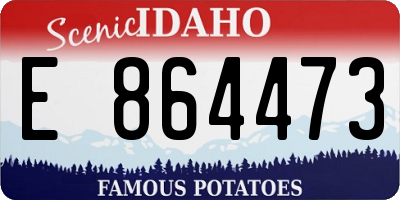 ID license plate E864473