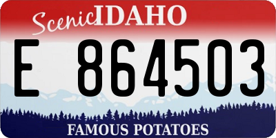ID license plate E864503