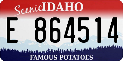 ID license plate E864514