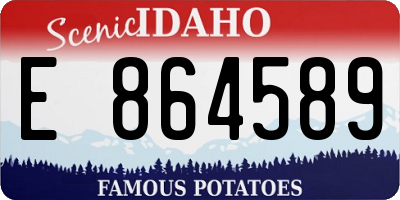 ID license plate E864589