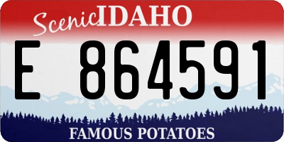 ID license plate E864591