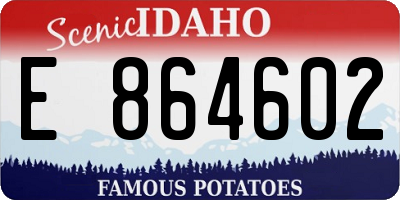 ID license plate E864602