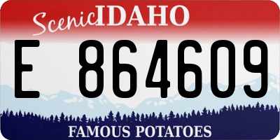 ID license plate E864609