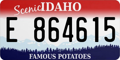 ID license plate E864615