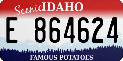ID license plate E864624