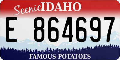 ID license plate E864697