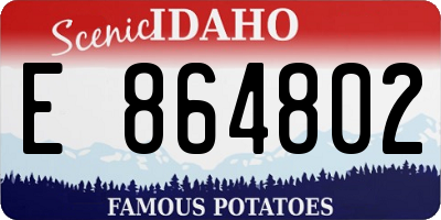 ID license plate E864802