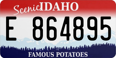 ID license plate E864895