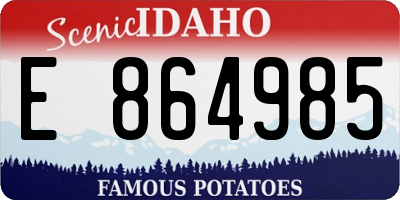 ID license plate E864985