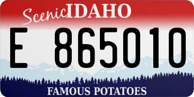 ID license plate E865010