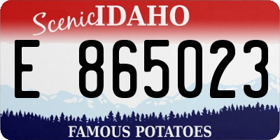 ID license plate E865023
