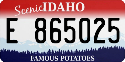 ID license plate E865025