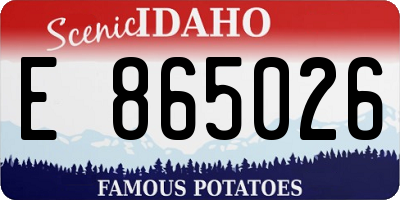 ID license plate E865026