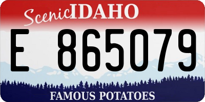 ID license plate E865079
