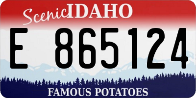 ID license plate E865124