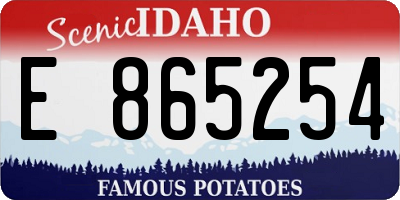 ID license plate E865254