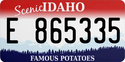 ID license plate E865335