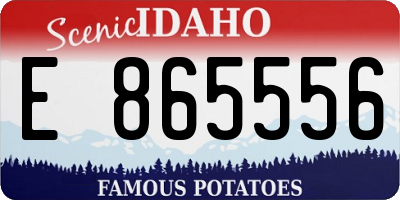 ID license plate E865556