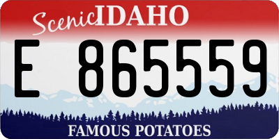 ID license plate E865559
