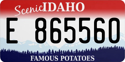 ID license plate E865560