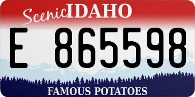 ID license plate E865598