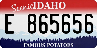ID license plate E865656