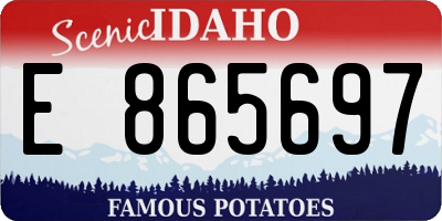 ID license plate E865697