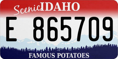 ID license plate E865709