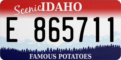 ID license plate E865711