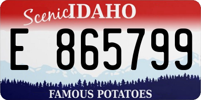 ID license plate E865799