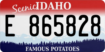 ID license plate E865828