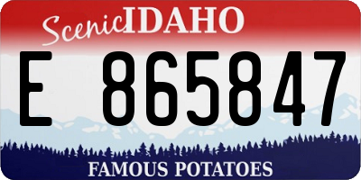 ID license plate E865847
