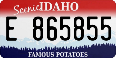 ID license plate E865855