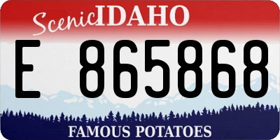 ID license plate E865868