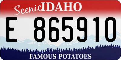 ID license plate E865910