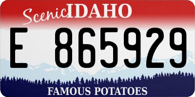 ID license plate E865929