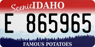 ID license plate E865965