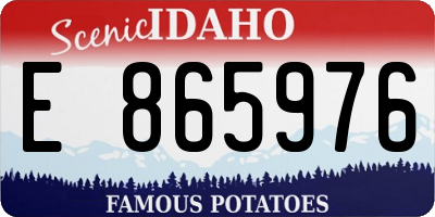 ID license plate E865976
