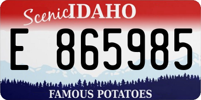 ID license plate E865985