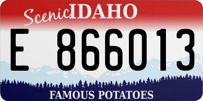 ID license plate E866013