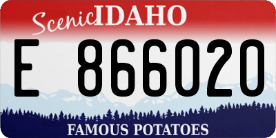 ID license plate E866020