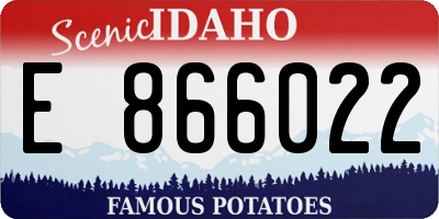 ID license plate E866022